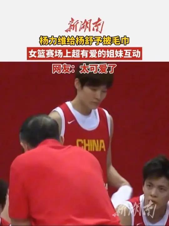 姐妹连线！杨力维杨舒予合砍25分老将发力助队大胜的简单介绍